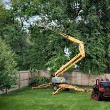Best Lawn Mowing  in Boonville, CA