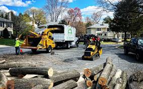 Best Stump Grinding and Removal  in Boonville, CA