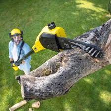 Best Seasonal Cleanup (Spring/Fall)  in Boonville, CA
